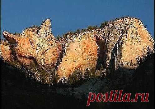 (11) Одноклассники