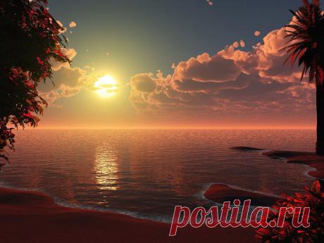 (87) Одноклассники