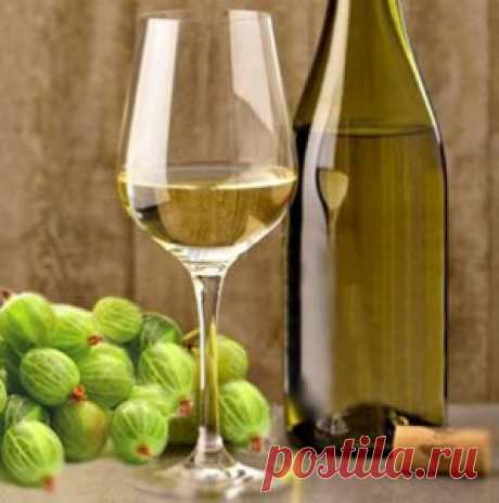 Вино из крыжовника домашнее