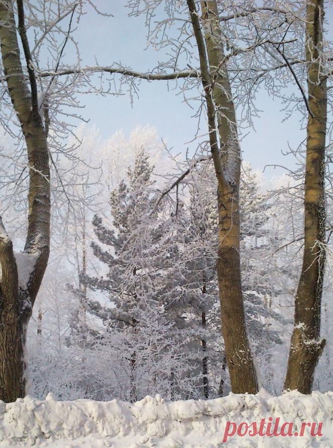 Зимний день