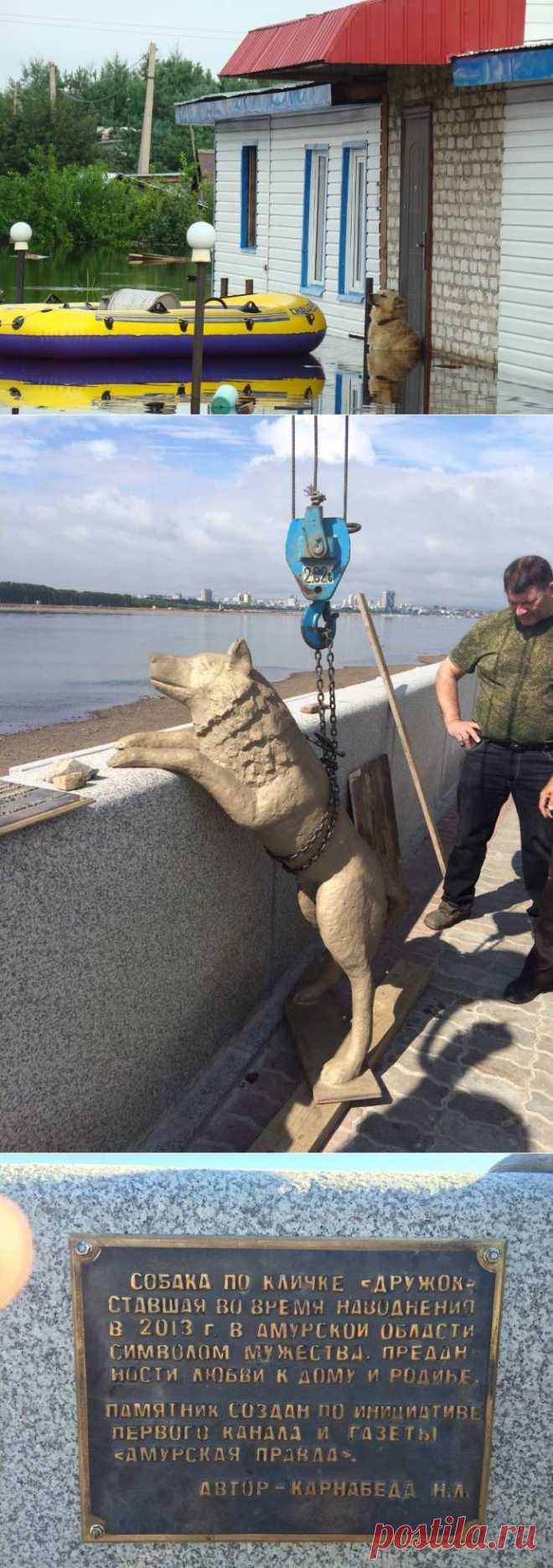 Памятник преданному псу Дружку установили в Благовещенске