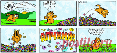 1980-08-17