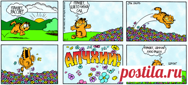 1980-08-17