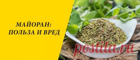 Майоран: польза и вред для здоровья организма Майоран: история и состав, лечебные рецепты, применение в косметологии и кулинарии, польза и вред для здоровья организма.
