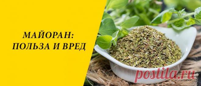 Майоран: польза и вред для здоровья организма Майоран: история и состав, лечебные рецепты, применение в косметологии и кулинарии, польза и вред для здоровья организма.