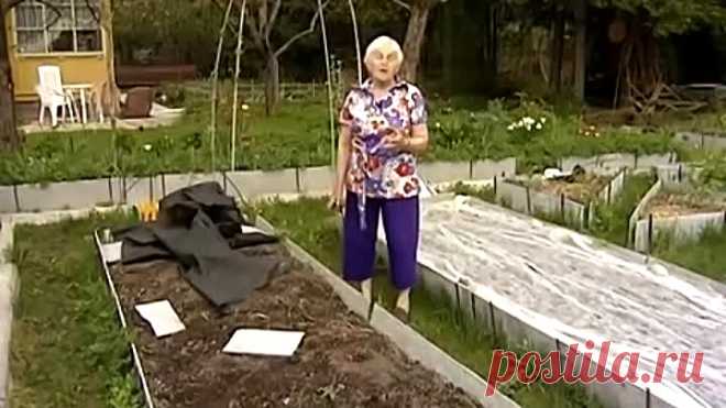 (2) Одноклассники