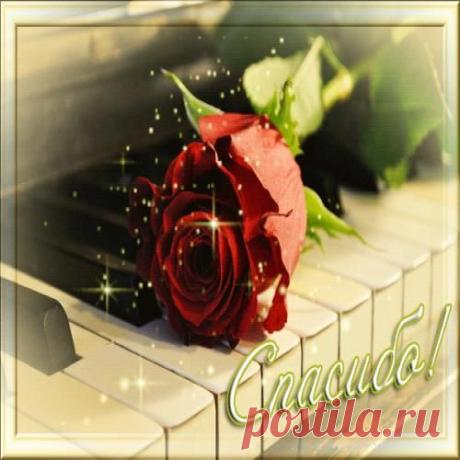 От души ... от сердца ... " Спасибо" !!!