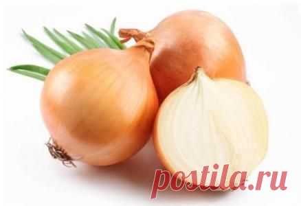 Польза ты моя – луковая!