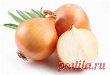 Польза ты моя – луковая!