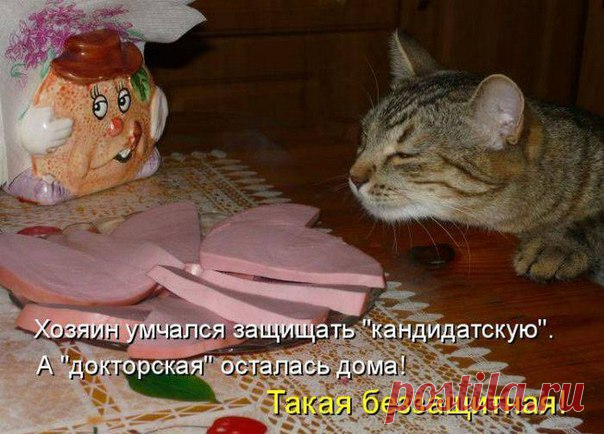 Кулинары на RUtxt.ru | Пошаговые рецепты