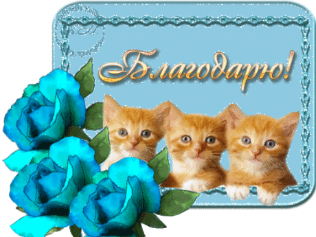 Благодарю!