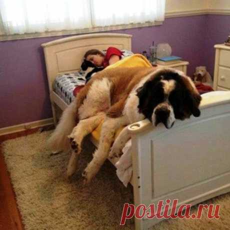 Dulce descanso :D