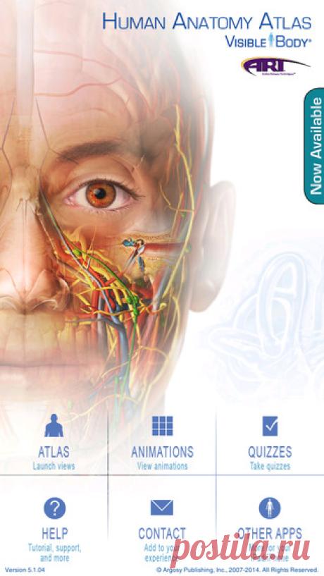 Human Anatomy Atlas for Active Release Techniques в App Store