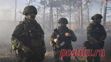 Кадыров сообщил о невосполнимых потерях ВСУ в Сумской области