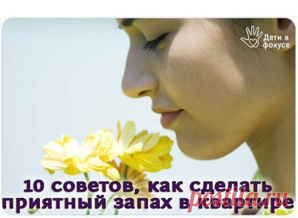 10 советов для придания приятного аромата в квартире. | Хитрости Жизни