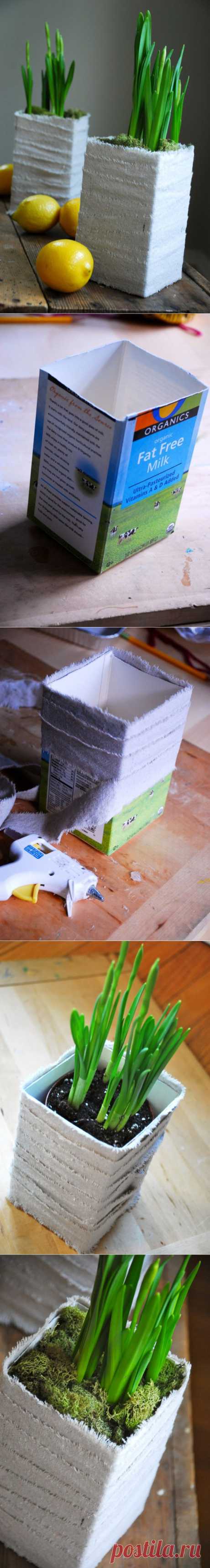 Milk Carton Planter | Family Chic by Camilla Fabbri ©2009-2014. All rights reserved. The blog