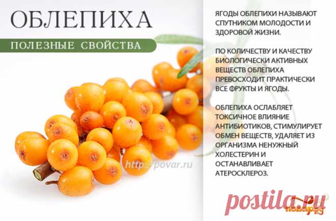 Облепиха полезные свойства