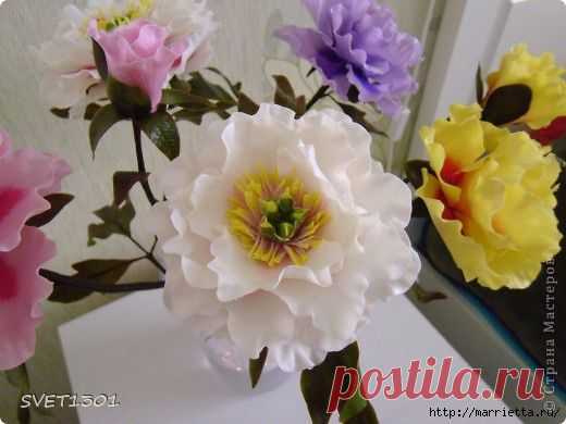 Древовидные ПИОНЫ из холодного фарфора. Мастер-класс