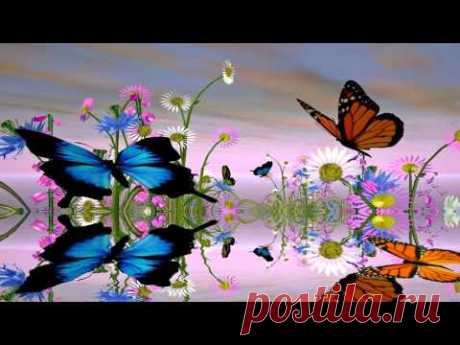 Fantastic Butterfly Screensaver https://www.screensavergift.com