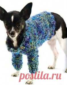 Вязаный джемпер для собаки - Для животных