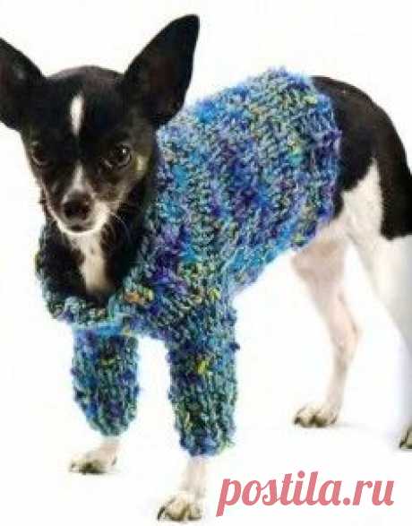 Вязаный джемпер для собаки - Для животных