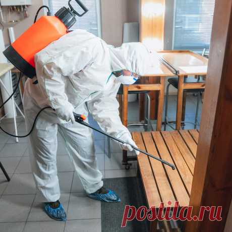 🪰 Профессиональные услуги городской санитарной службы под ключ
🧐 Большой опыт 🤩 Индивидуальный подход 💖 Приятные цены
🌍 Работаем круглосуточно, в 30 городах России 📞 +7(804)700-09-30