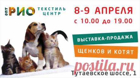 ВНИМАНИЕ! ВНИМАНИЕ! 
8-9 апреля приглашаем всех любителей кошек и собак вТЦ"РИО опт" на выставку-продажу щенков и котят!) 
Проведи выходные интересно!
ТЦ"РИО опт" - территория отличного настроения! 

Показать полностью…