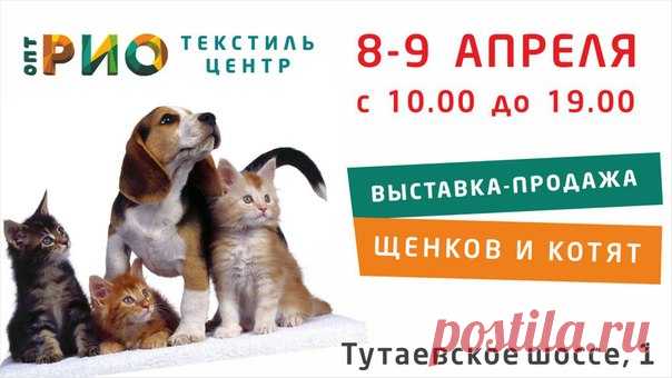 ВНИМАНИЕ! ВНИМАНИЕ! 
8-9 апреля приглашаем всех любителей кошек и собак вТЦ