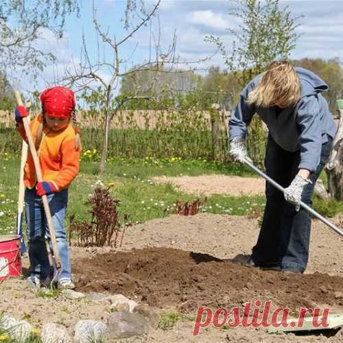 Какие удобрения нужны огороду весной