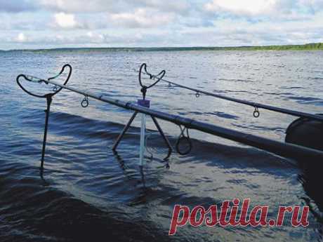 Лещ в августе