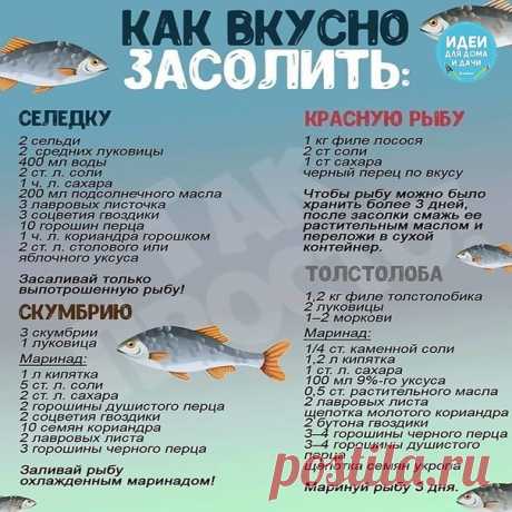 На зaмeткy xoзяйкам. Сохраните у себя)