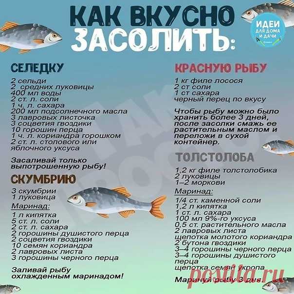 На зaмeткy xoзяйкам. Сохраните у себя)
