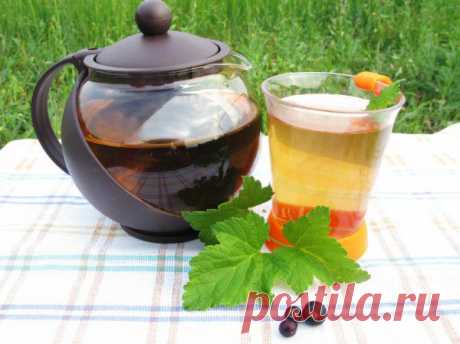 Вкусные рецепты