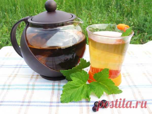 Вкусные рецепты