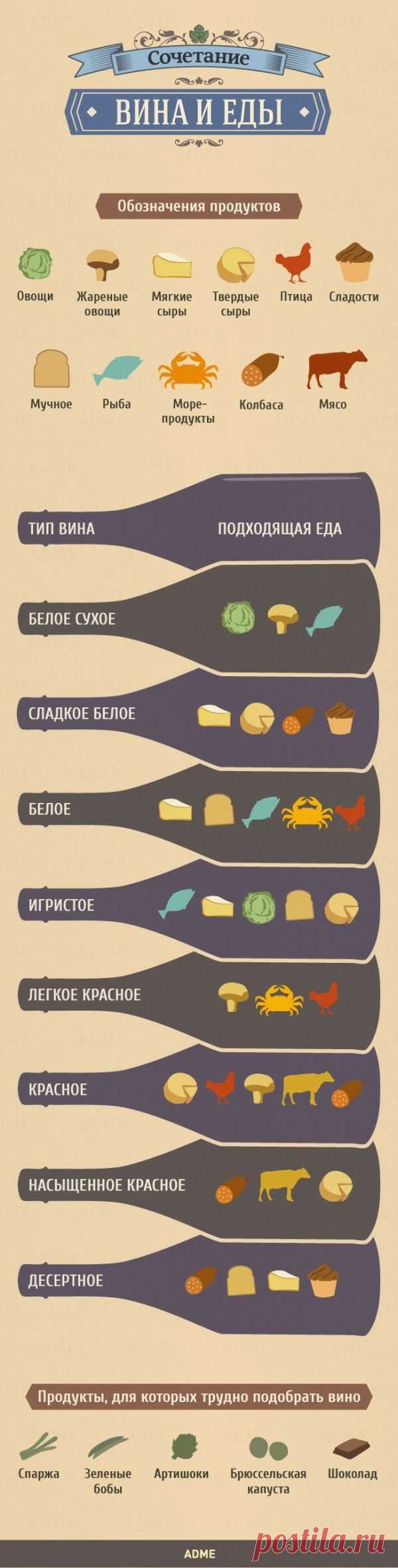 Сочетание вина и еды