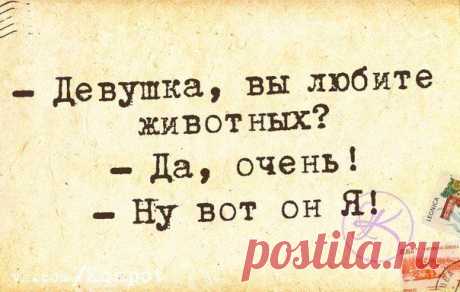 Позитивные фразочки в картинках