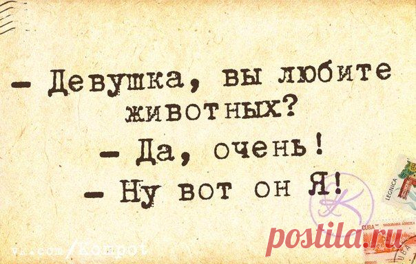 Позитивные фразочки в картинках