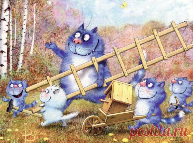 Синие коты - 61 фото - картинки: смотреть онлайн