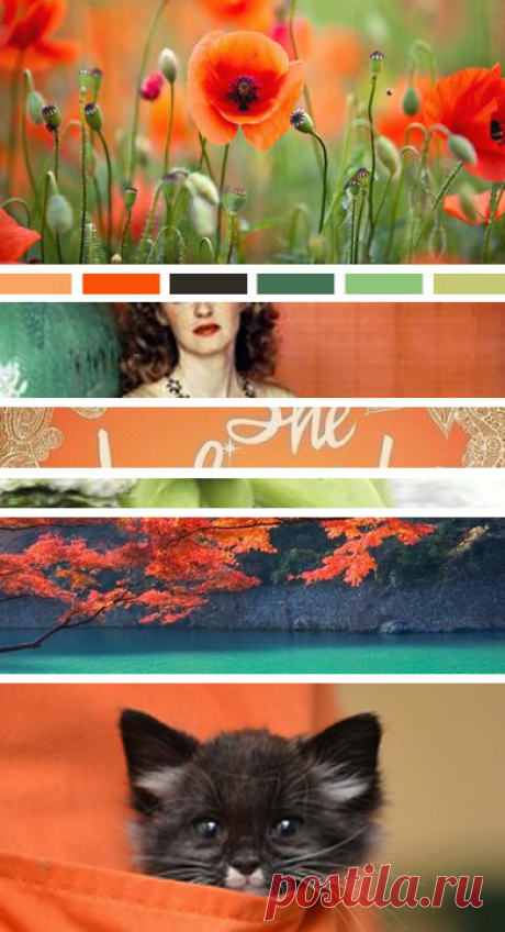 seed; Moodboards