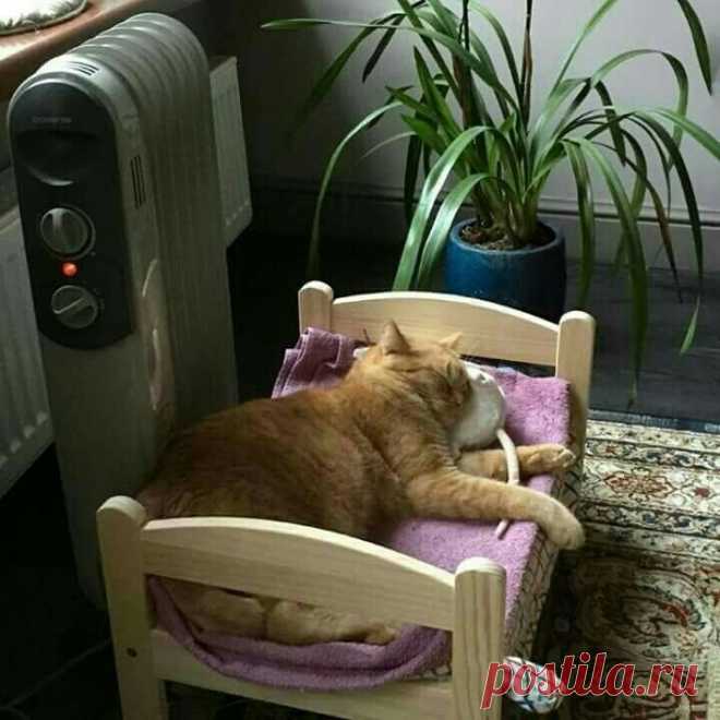 С  УДОБСТВАМИ