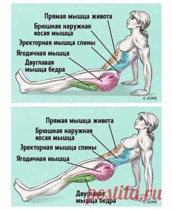 Упражнение, которое поможет убрать живот и исправить осанку
Как делать:
1. Сядьте на пол. Выпрямите ноги перед собой. Поставьте ладони на пол, расставьте пальцы для максимальной поддержки.
2. Наклоните торс под углом 45° к полу. Руки поставьте за ягодицы так, чтобы они находились на одном уровне с плечами.
3. Поддерживайте вес своего тела руками и пятками, поднимая ягодицы.
4. Поднимайте торс, ноги и ягодицы, пока они не будут расположены на одной линии, как при классической планке.
5. Напряги