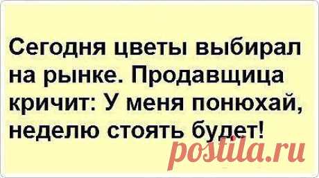 Уссурийск и его жизнь
ВЕСЬ МИР С ТОБОЙ