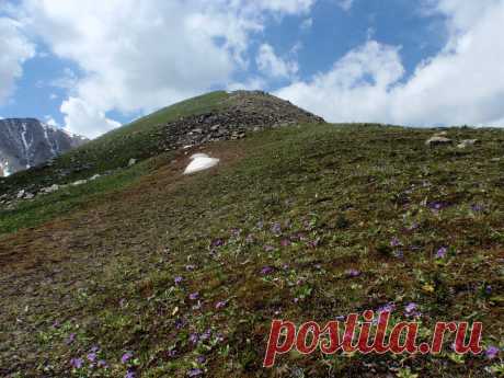 Panoramio - Untitled photo