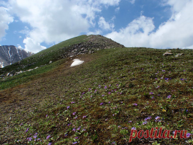 Panoramio - Untitled photo