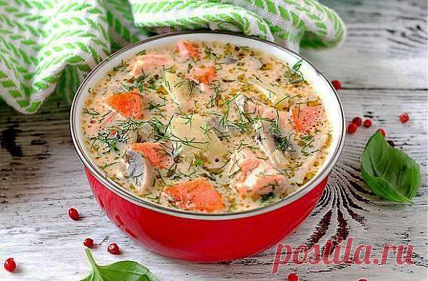 СЫРНЫЙ СУП С ФОРЕЛЬЮ И ГРИБАМИ