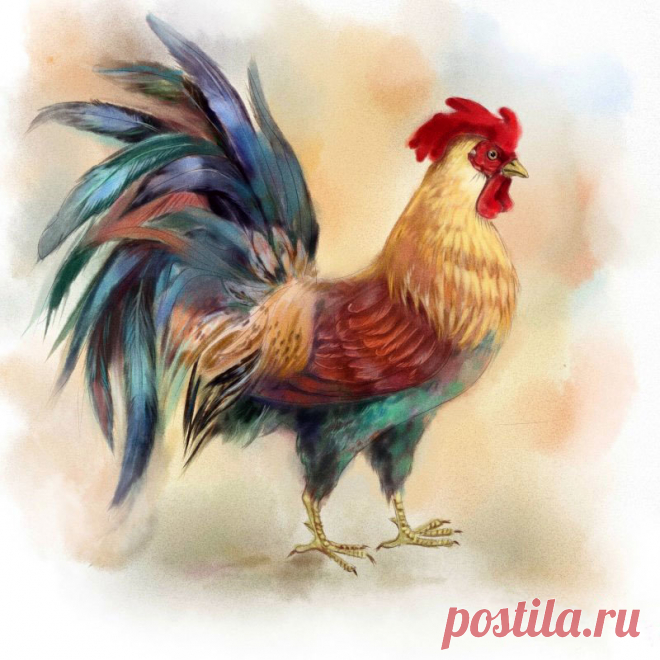 ВЫШИВАЙКА. 