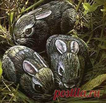 Ожившие камни своими руками