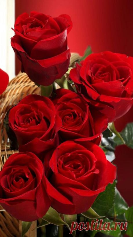 (22) Pinterest