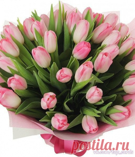 Поздравляем с Днём рождения всех, кто родился сегодня 4 июня 😘😘
