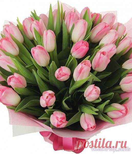 Поздравляем с Днём рождения всех, кто родился сегодня 4 июня 😘😘